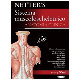 Netter’s Sistema...