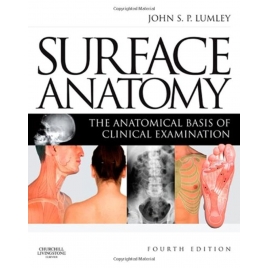 Surface Anatomy - The...