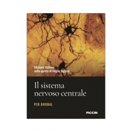 Il sistema nervoso centrale